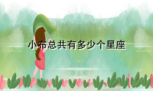小布总共有多少个星座