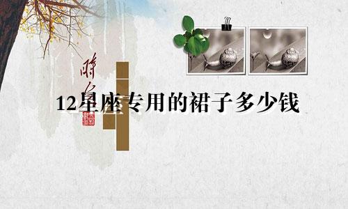 12星座专用的裙子多少钱