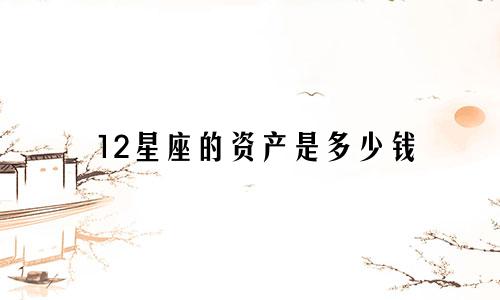12星座的资产是多少钱