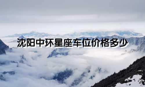 沈阳中环星座车位价格多少