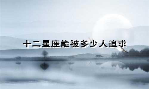 十二星座能被多少人追求