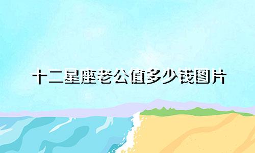十二星座老公值多少钱图片