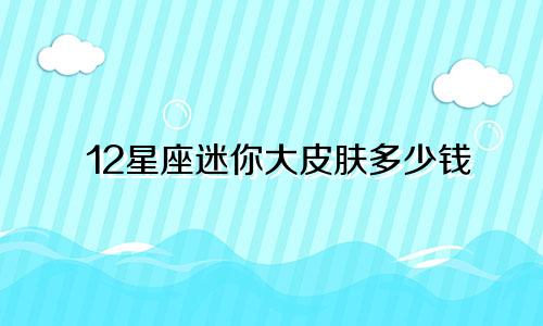 12星座迷你大皮肤多少钱