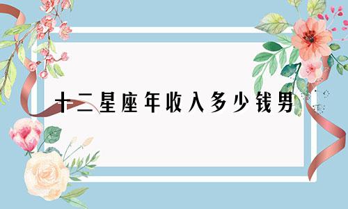 十二星座年收入多少钱男