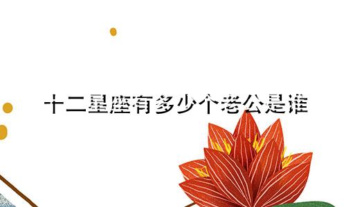 十二星座有多少个老公是谁
