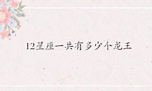 12星座一共有多少个龙王