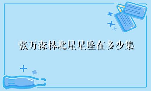 张万森林北星星座在多少集