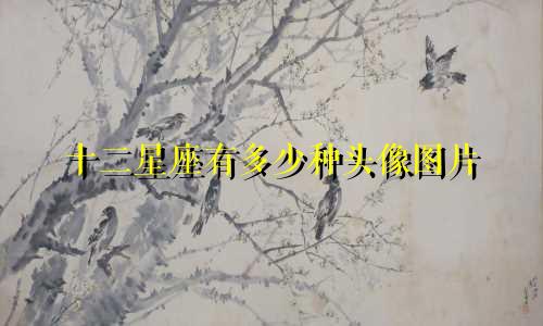 十二星座有多少种头像图片