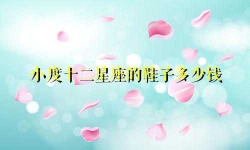 小度十二星座的鞋子多少钱