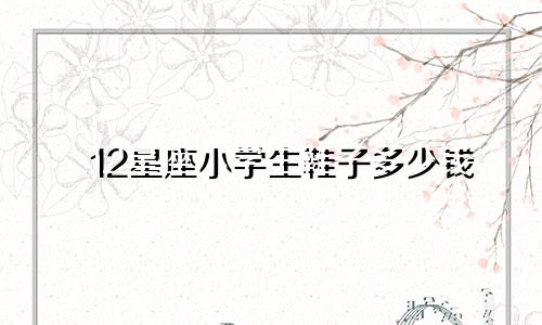 12星座小学生鞋子多少钱