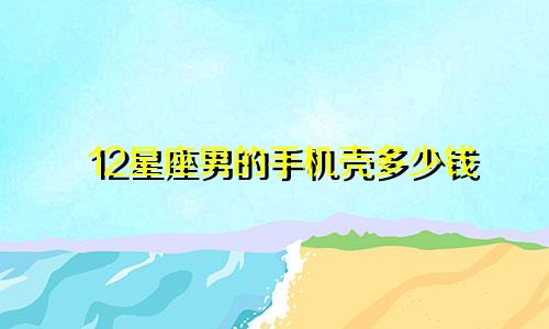12星座男的手机壳多少钱
