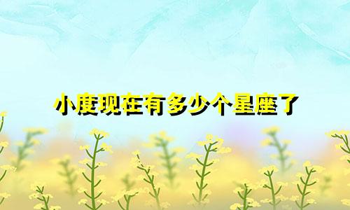 小度现在有多少个星座了