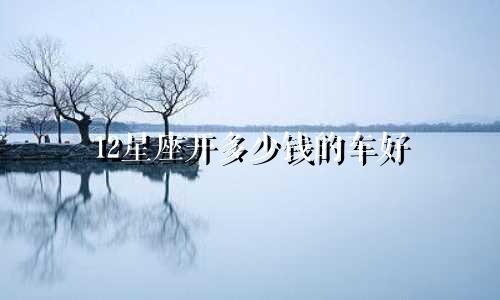 12星座开多少钱的车好