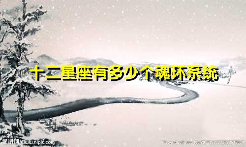 十二星座有多少个魂环系统