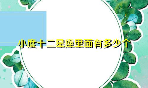 小度十二星座里面有多少个