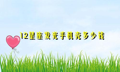 12星座发光手机壳多少钱