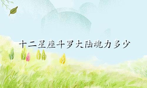 十二星座斗罗大陆魂力多少