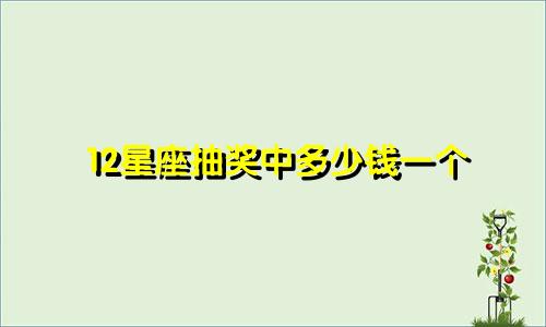12星座抽奖中多少钱一个