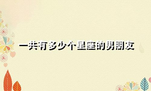 一共有多少个星座的男朋友