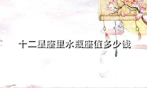 十二星座里水瓶座值多少钱