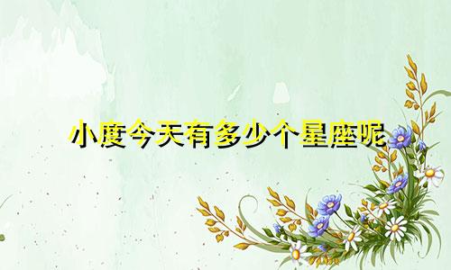 小度今天有多少个星座呢