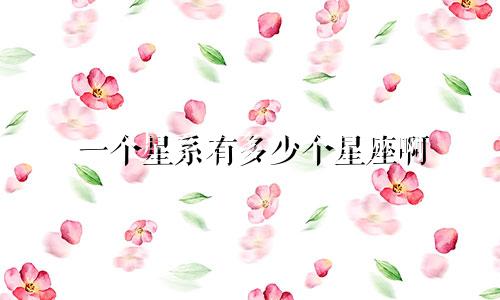 一个星系有多少个星座啊