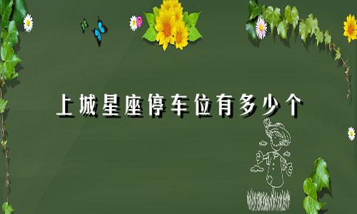 上城星座停车位有多少个