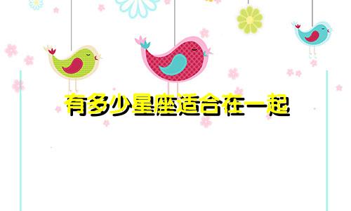 有多少星座适合在一起