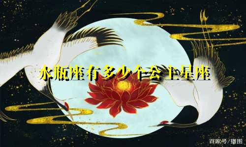 水瓶座有多少个公主星座