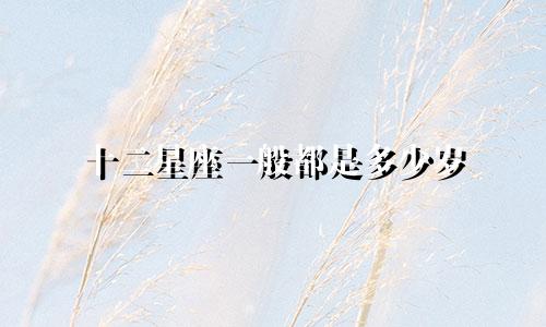 十二星座一般都是多少岁