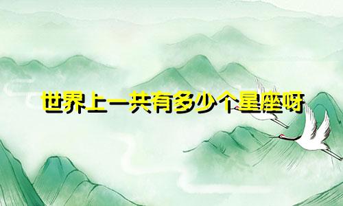 世界上一共有多少个星座呀