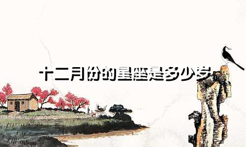 十二月份的星座是多少岁