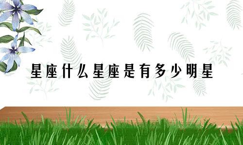 星座什么星座是有多少明星