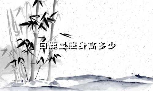 白鹿星座身高多少