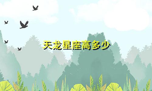 天龙星座高多少