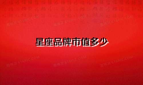 星座品牌市值多少