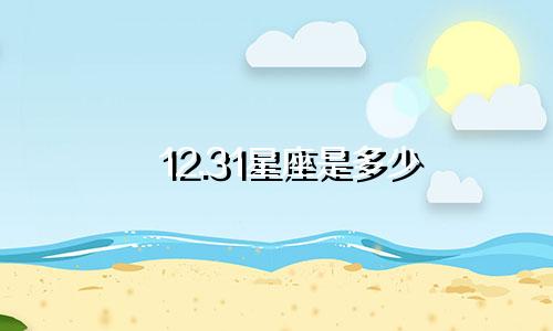 12.31星座是多少