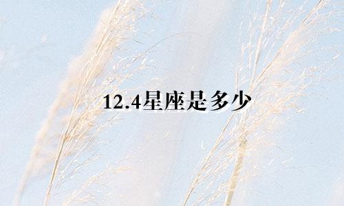 12.4星座是多少