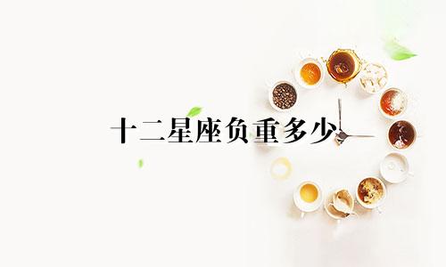 十二星座负重多少