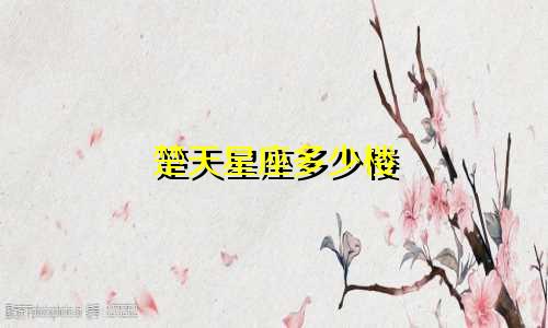 楚天星座多少楼