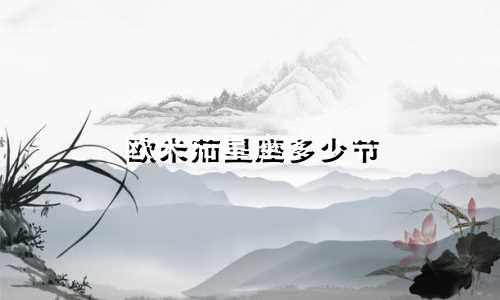 欧米茄星座多少节