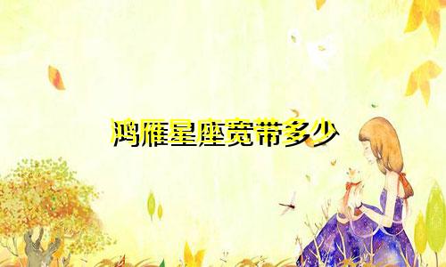鸿雁星座宽带多少