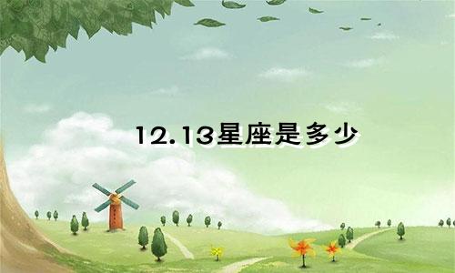 12.13星座是多少