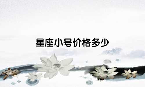 星座小号价格多少