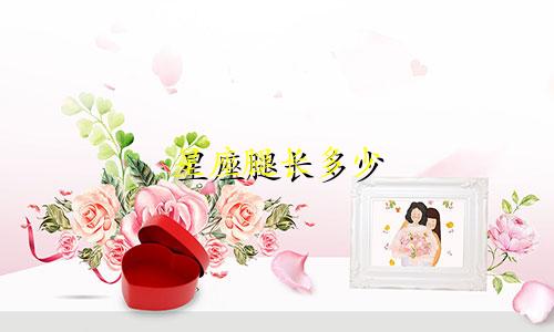 星座腿长多少