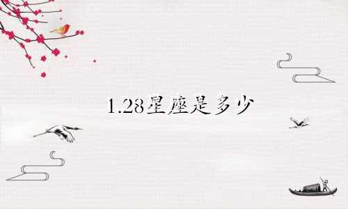 1.28星座是多少