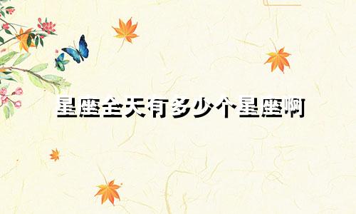 星座全天有多少个星座啊