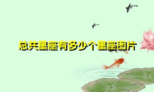 总共星座有多少个星座图片