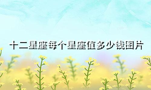 十二星座每个星座值多少钱图片