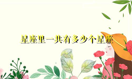 星座里一共有多少个星座